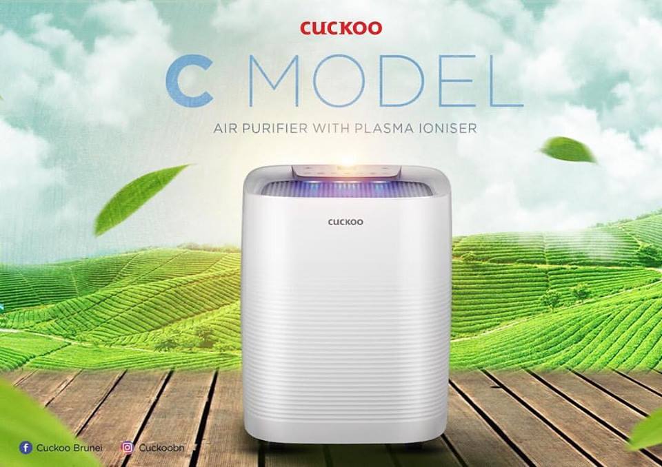 cuckoo kucing habuk resdung