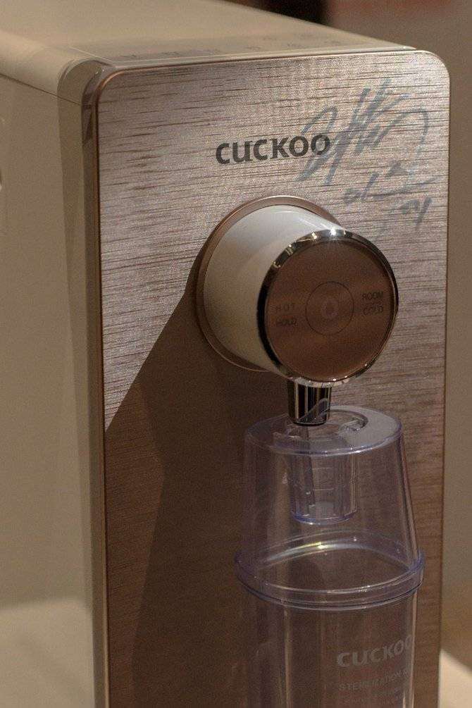 cuckoo prince top