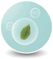 CUCKOO D Model Plasma Ioniser — Fresher Indoor Air