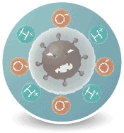 CUCKOO D Model Plasma Ioniser — Produces Negative Ions