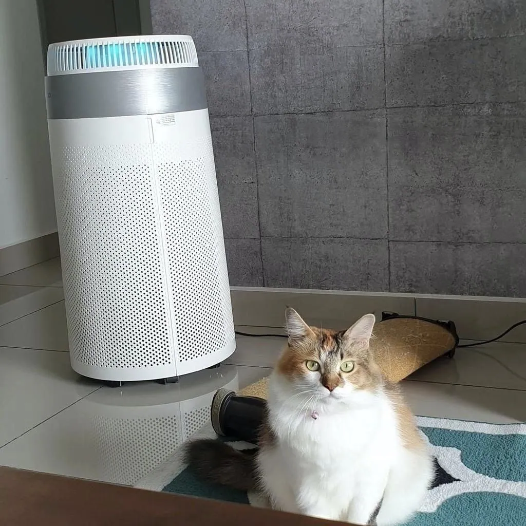 Real photo of CUCKOO D Model air purifier installed in a customer home 19