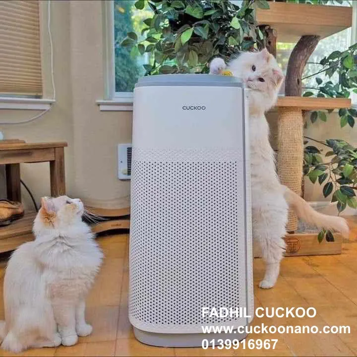 Gambar sebenar penapis udara CUCKOO K Model dipasang di rumah pelanggan 3