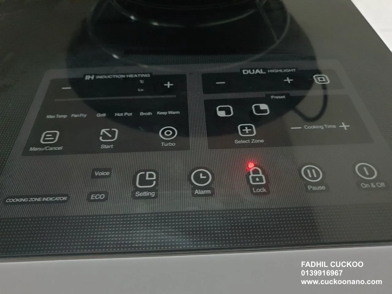 INDUCTWO panel & surface inspection during service