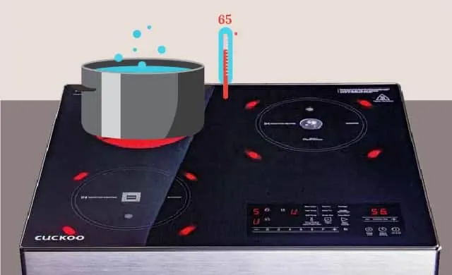 Step 4 of INDUCTWO service — Temperature Check