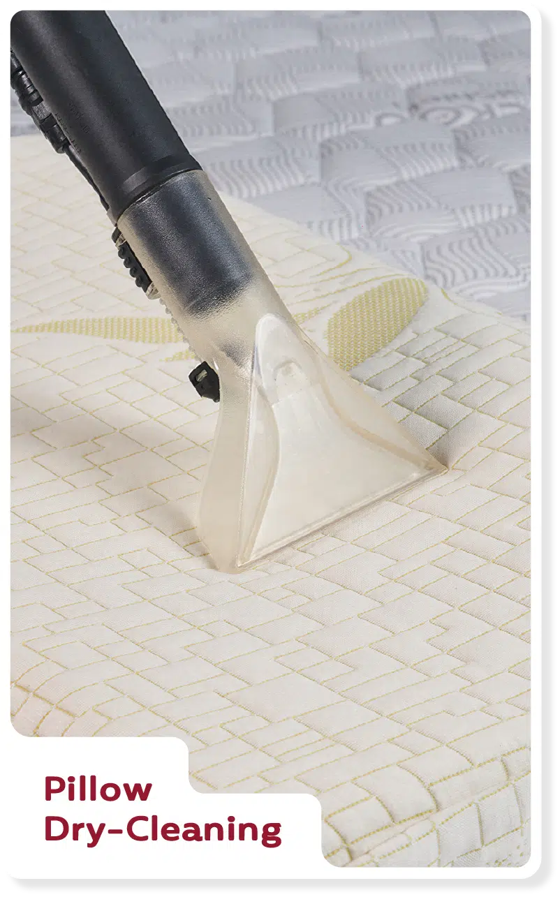 Pillow Dry-Cleaning — CUCKOO A-LITE mattress cleaning service