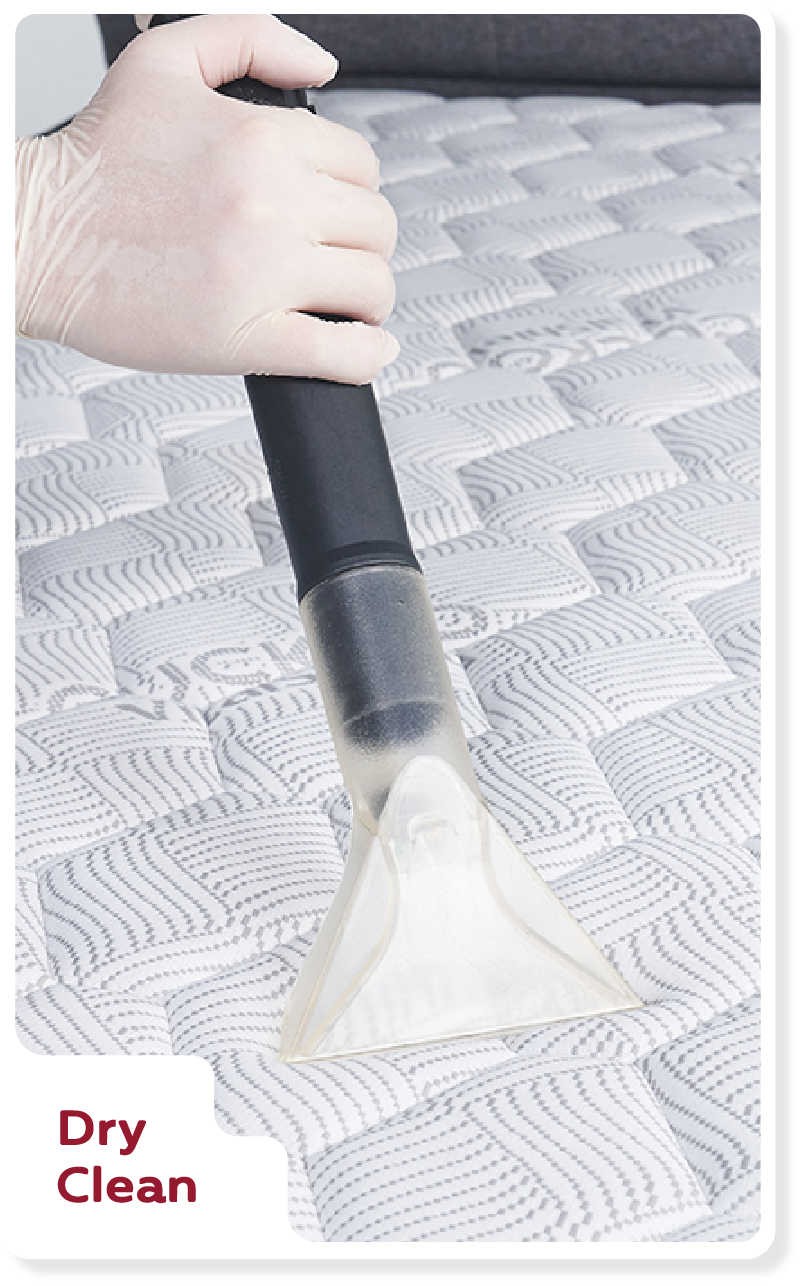 Dry Clean — CUCKOO A-LITE mattress cleaning service