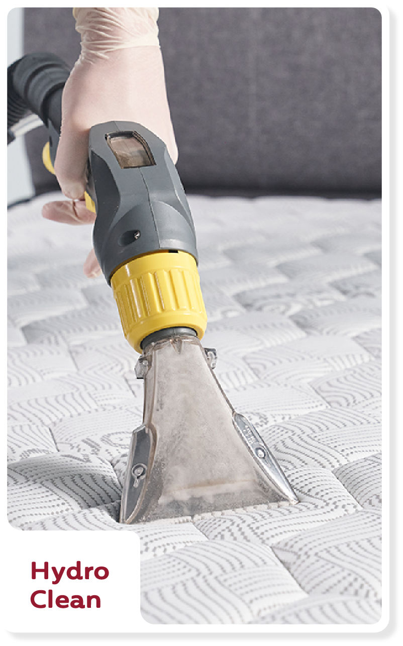 Hydro Clean — CUCKOO A-LITE mattress cleaning service