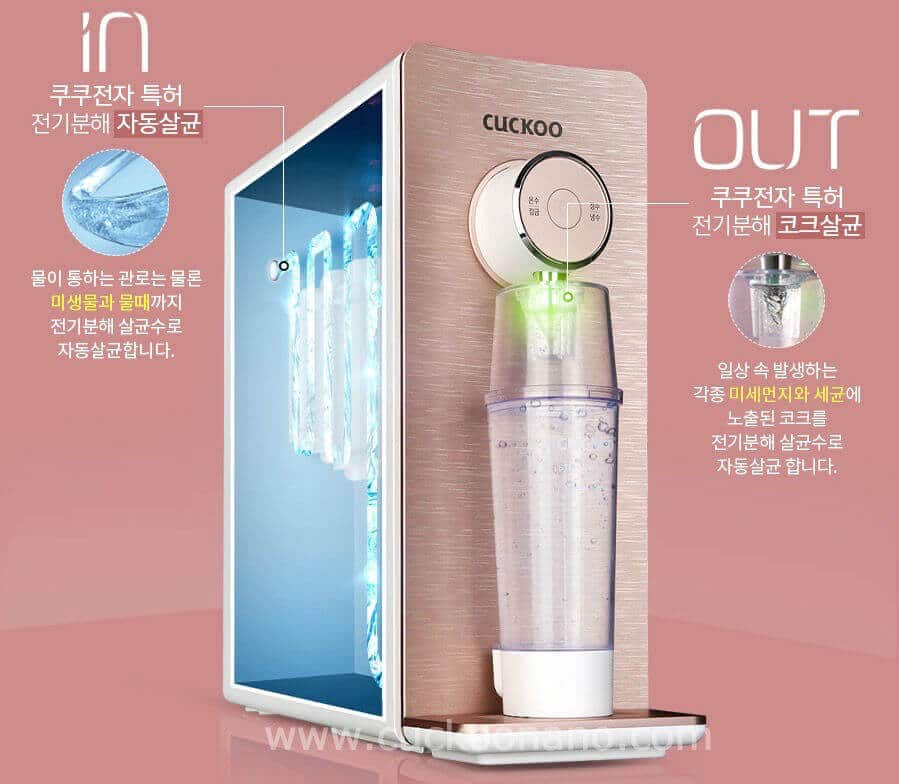 cuckoo prince top