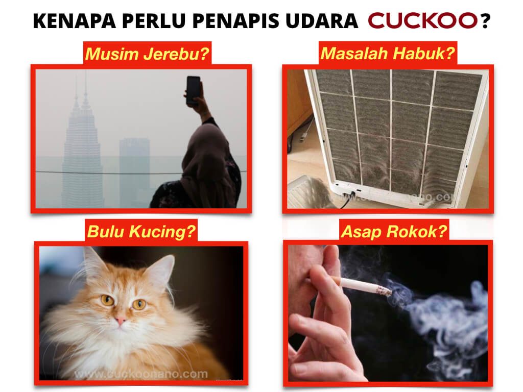 KENAPA PERLU PENAPIS UDARA CUCKOO
